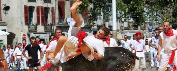 bilbao_vaca-620x250