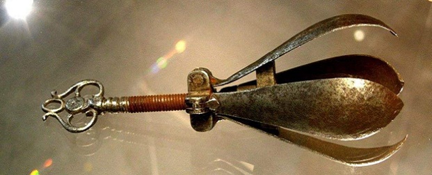 1024px-Oral_pear-1024x753