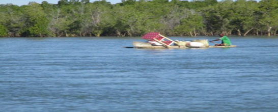 Onivameonapalnivo_academie